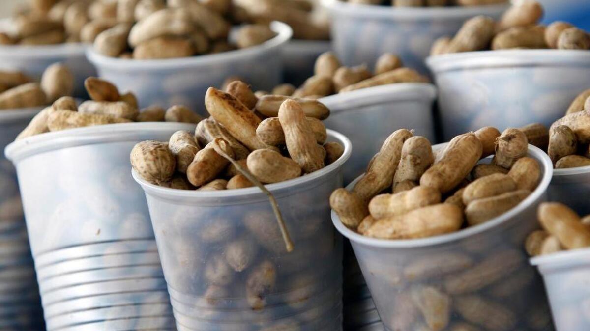 
Boiled peanuts, the official South Carolina snack food, is plentiful at the  South Carolina Peanut Party.
