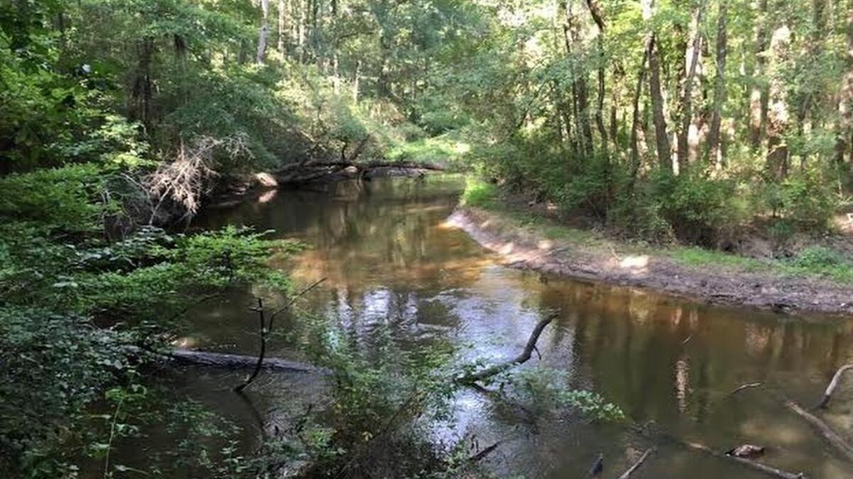 Timmerman Trail users enjoy views of the Congaree Creek.