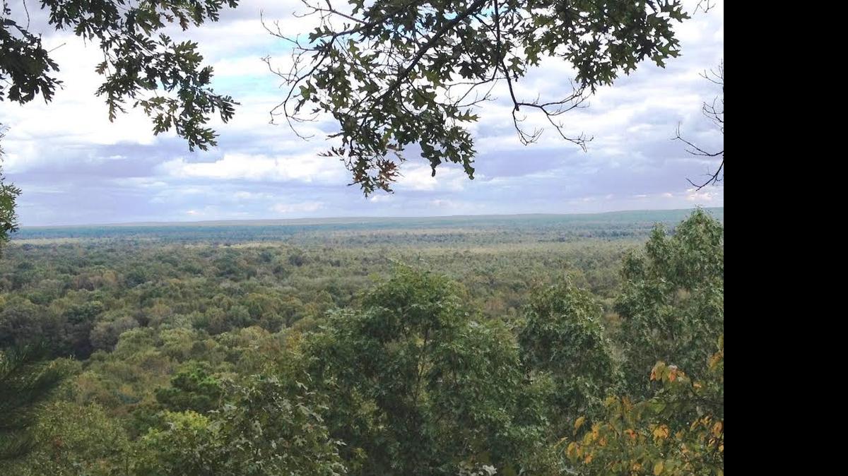 
View from the top of Cook's Mountain
