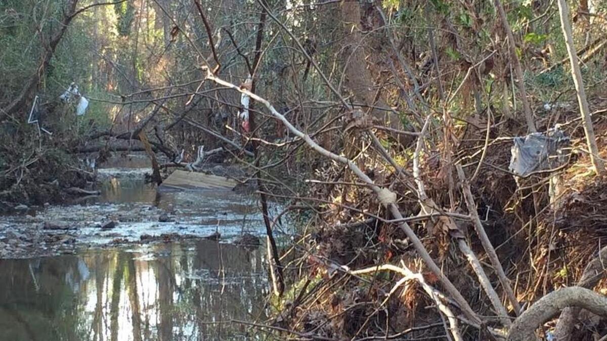 Trash hangs from branches and other debris remain from recent flooding in Kinley Creek along the side of Seven Oaks Park in St. Andrews.