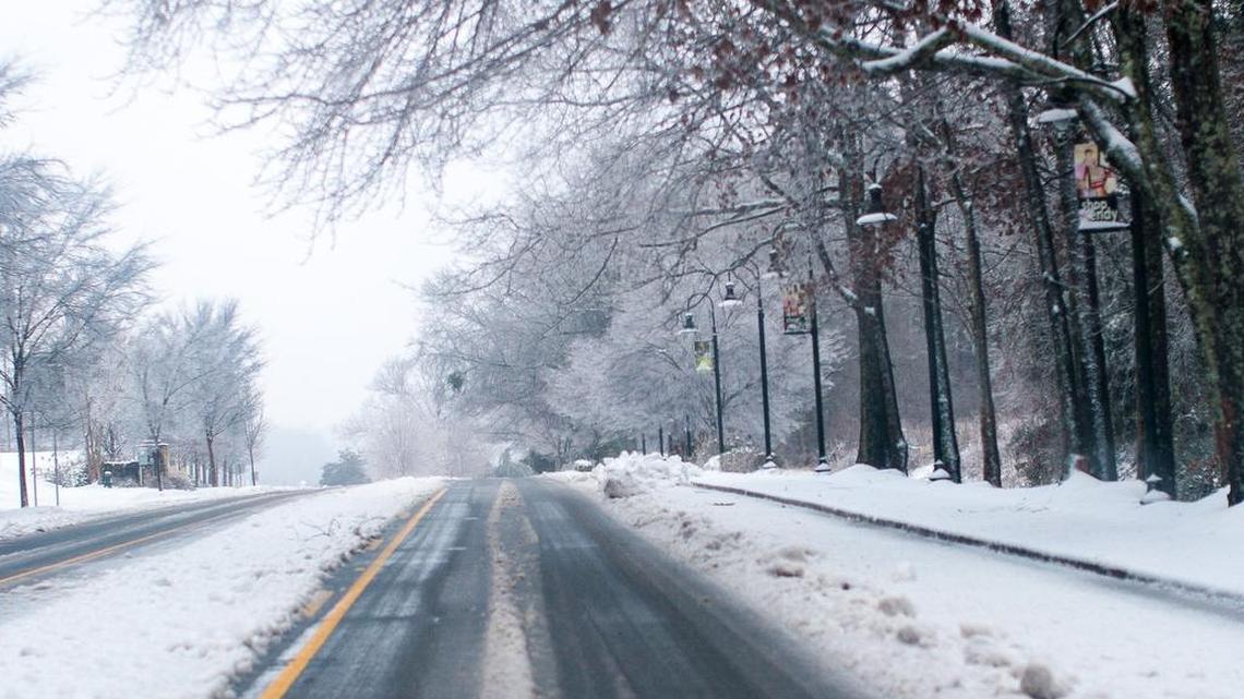 Snow day in the Greenville area Friday January 22, 2016