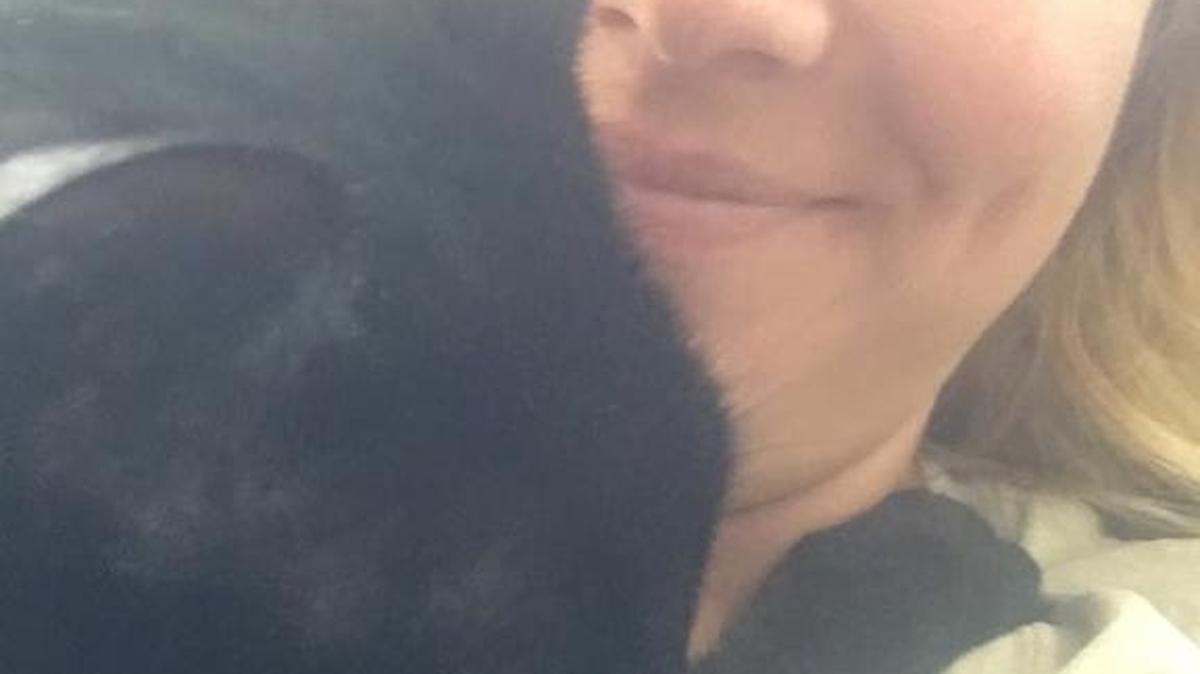 Lux, a 15-pound black cat, has been missing since Tuesday, when Chris Miller and her husband stopped in Blythewood on their way back to Florida. The couple, Lux and their two dogs evacuated because of Hurricane Irma. Lux is photographed with Miller’s daughter-in-law.