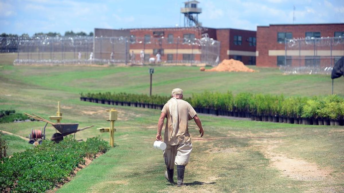 
Perry Correctional Institution in Pelzer has been growing its horticulture program for about eight years. The inmates say the time spent cultivating the land has given them a renewed sense of self-worth and a skill to use on the outside.
