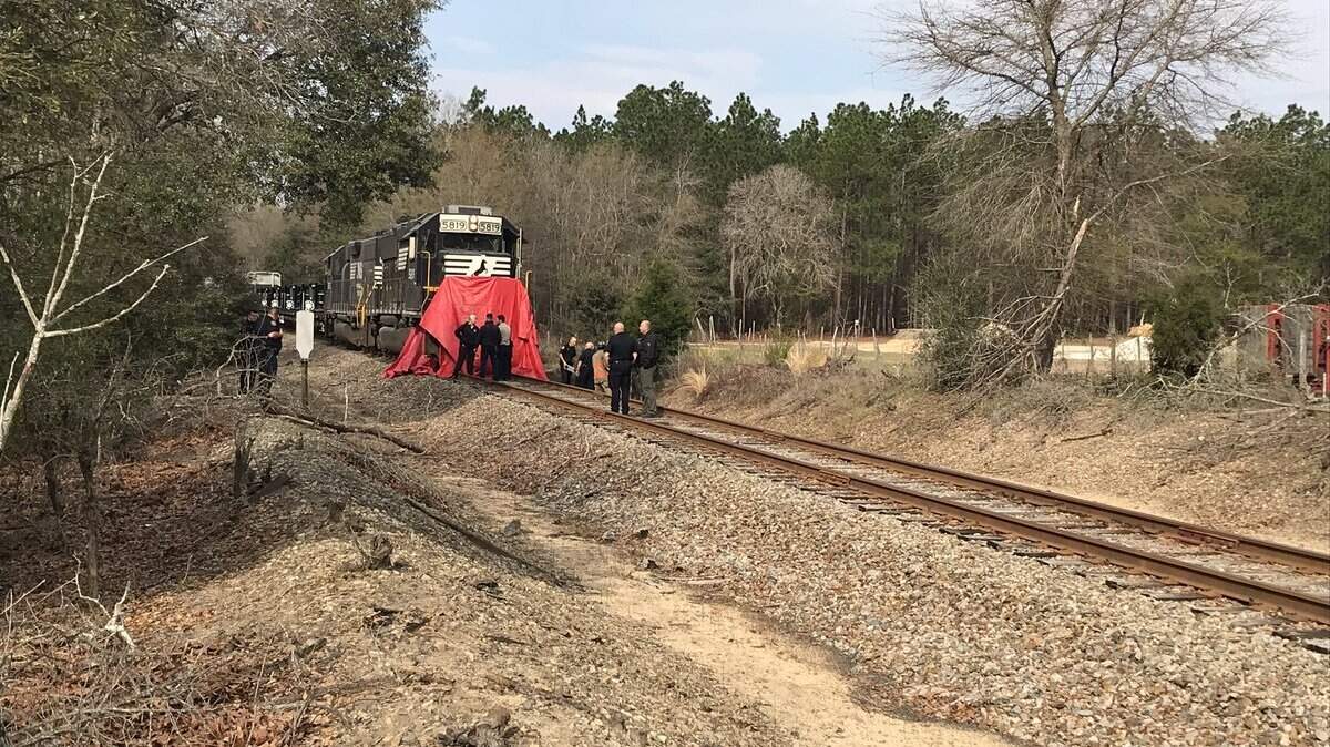 A pedestrian died after being hit by a train in Lexington County on Thursday.