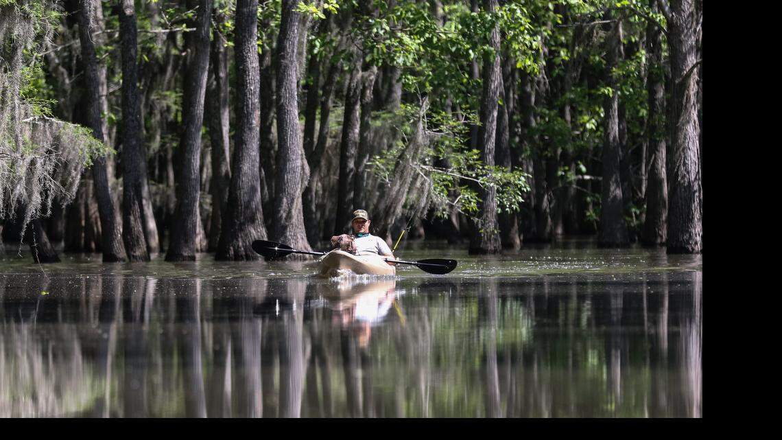 
The Sparkleberry Swamp on upper Lake Marion is filled with rare animals, bright plants, cypress trees and clean water, but it is threatened by a toxic waste dump nearby.
