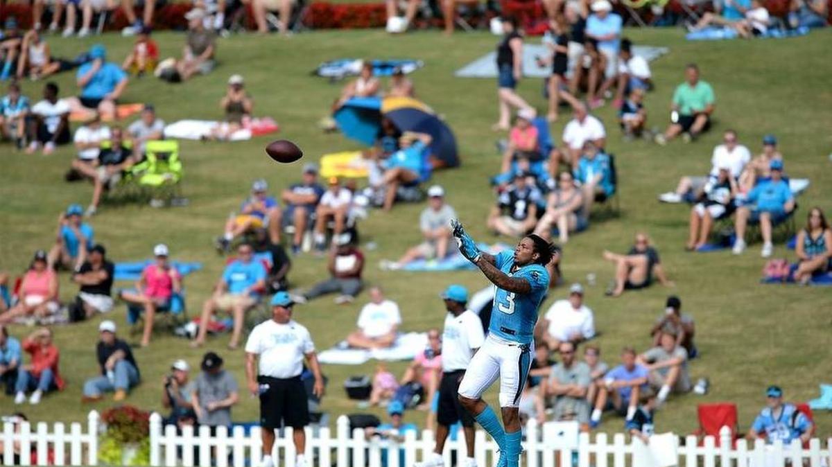 Carolina Panthers fans line a hillside watching wide receiver Kelvin Benjamin catch balls during practice at Wofford College in Spartanburg, SC on August 1, 2016.