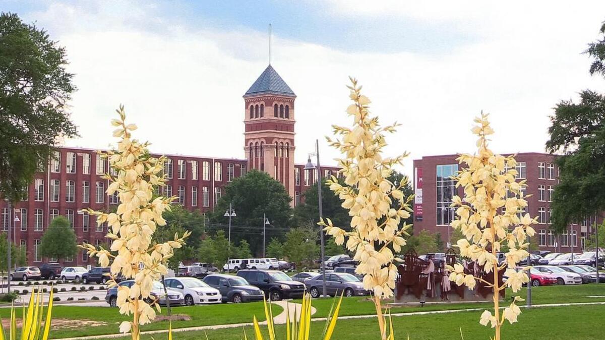 A draft study presented Wednesday night to area residents recommends several improvements to the Olympia-area mill village communities.