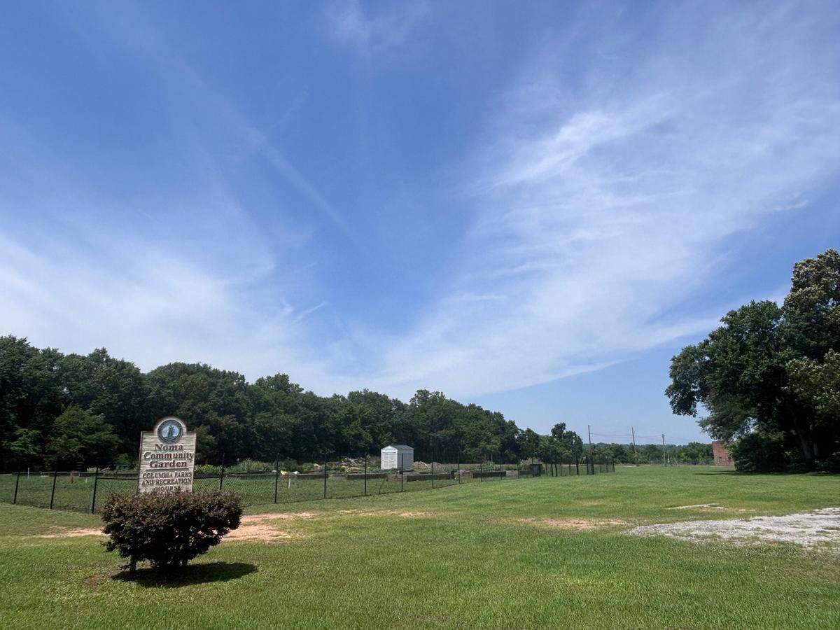 The city of Columbia wants to build something on nine acres of undeveloped land along where the next leg of the Vista Greenway will be located. 
