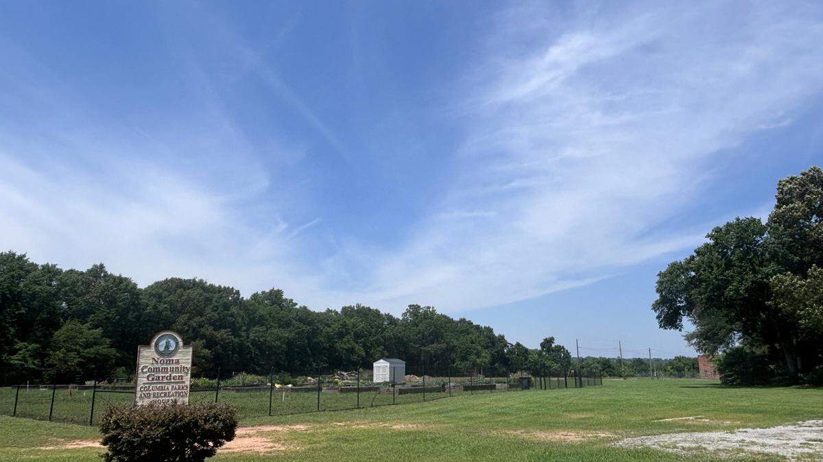 The city of Columbia wants to build something on nine acres of undeveloped land along where the next leg of the Vista Greenway will be located.
