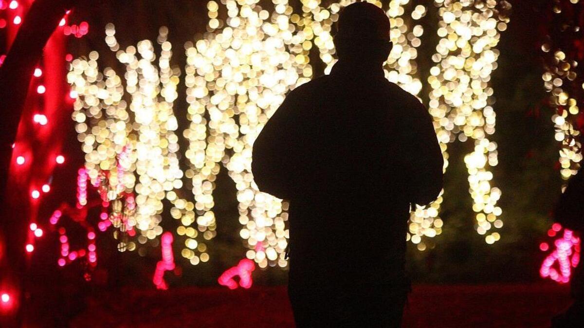 Riverbanks Zoo Lights Before Christmas. The zoo announced Wed., Nov. 25, 2015, that the annual display was being temporarily closed because of a water main break in the City of Columbia’s system.