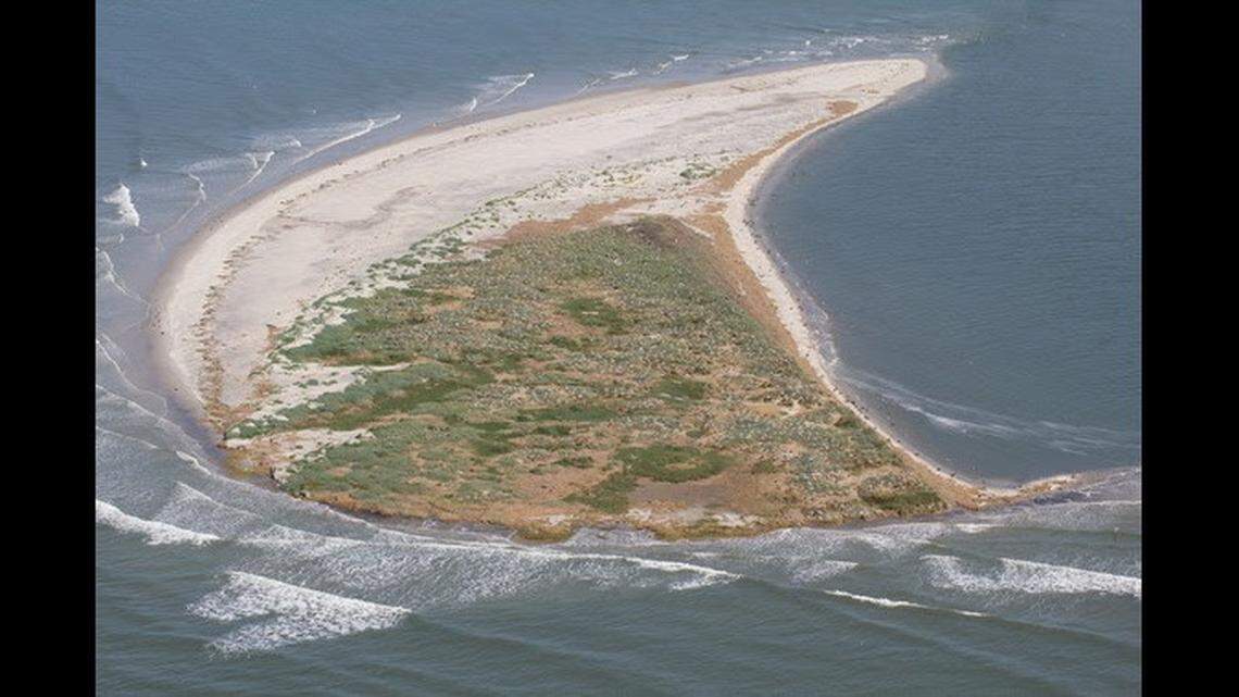 This is an aerial photo that shows the western part of Deveaux Bank Seabird Sanctuary before Tropical Storm Idalia hit the island on Aug. 30. Credit: Janet Thibault/SCDNR