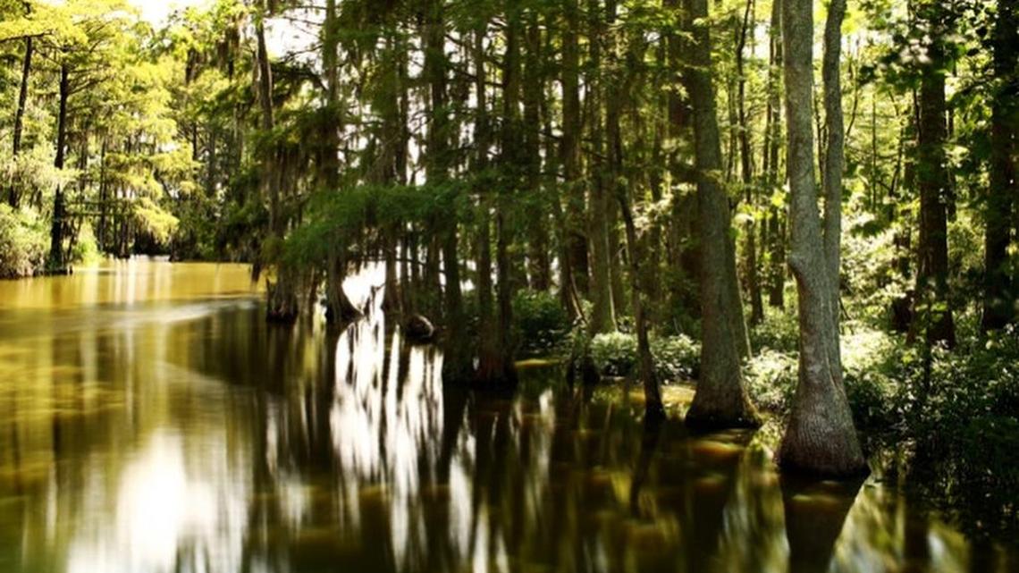 
A secluded cove off Salmon Creek near the dig site in North Carolina where archaeologists have discovered several pieces of Border ware and other materials that may suggest an early English settlement in the area. 
