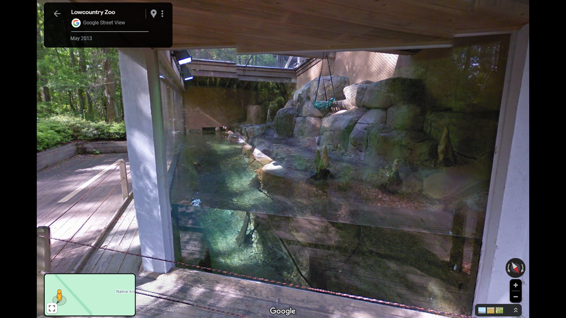 The South Carolina zoo said each pup was a “bundle of joy.”