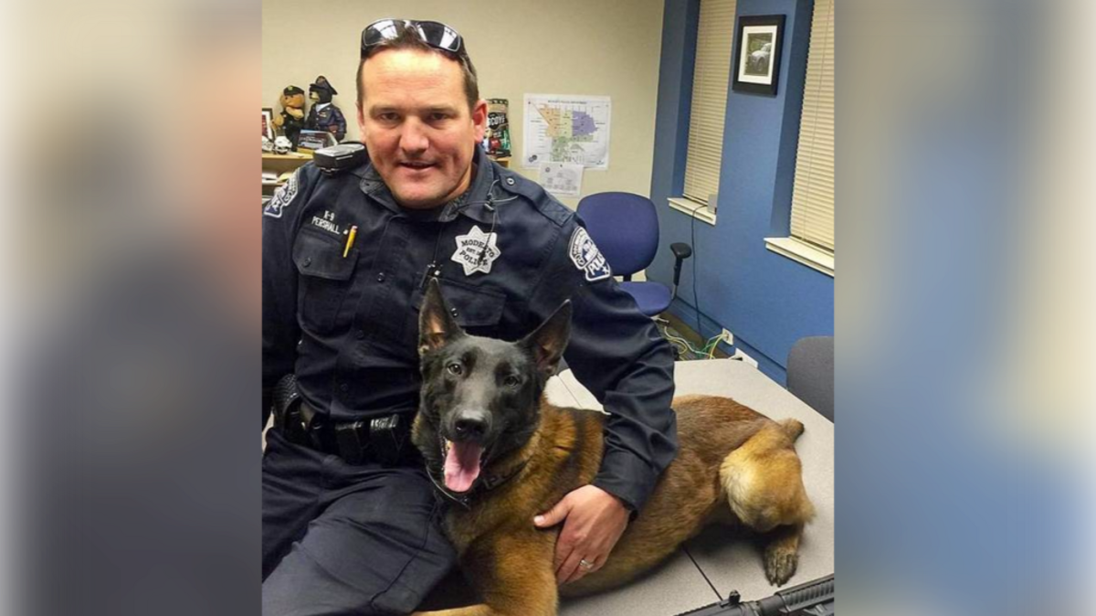 Modesto Sgt. Mike Pershall with his K9, Ike.
