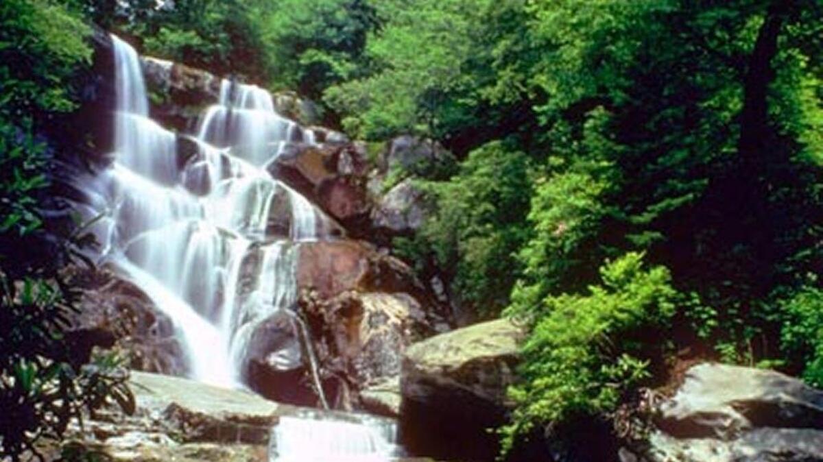 Ramsey Cascades in Great Smoky Mountains National Park