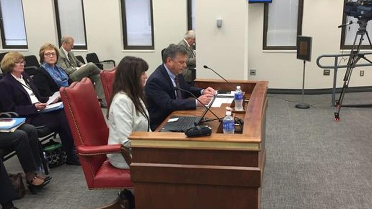 Jimmy Early testifies before the Senate DSS Oversight Committee about the progress of a child-support enforcement-system project.
