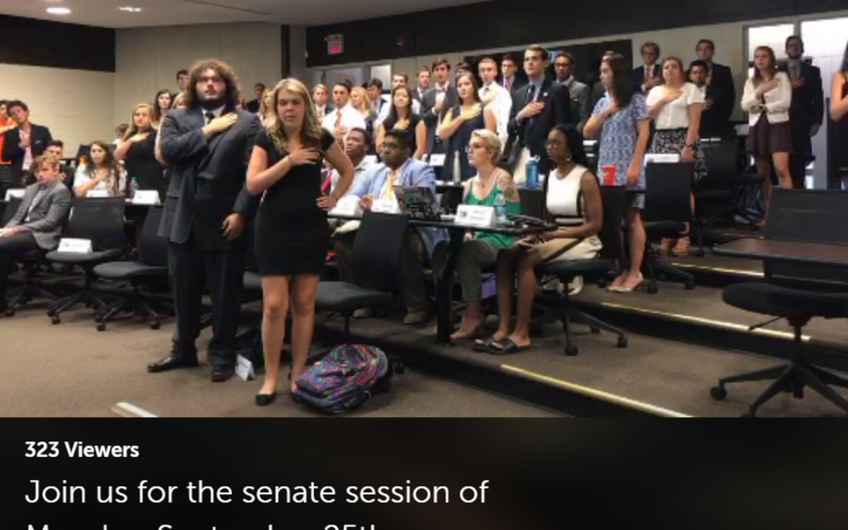Screenshot of Clemson student government live stream