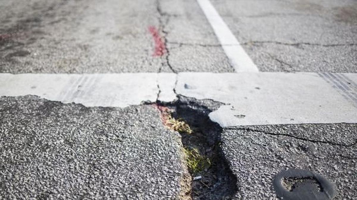 Weeds grow out of a deep pothole in downtown Anderson