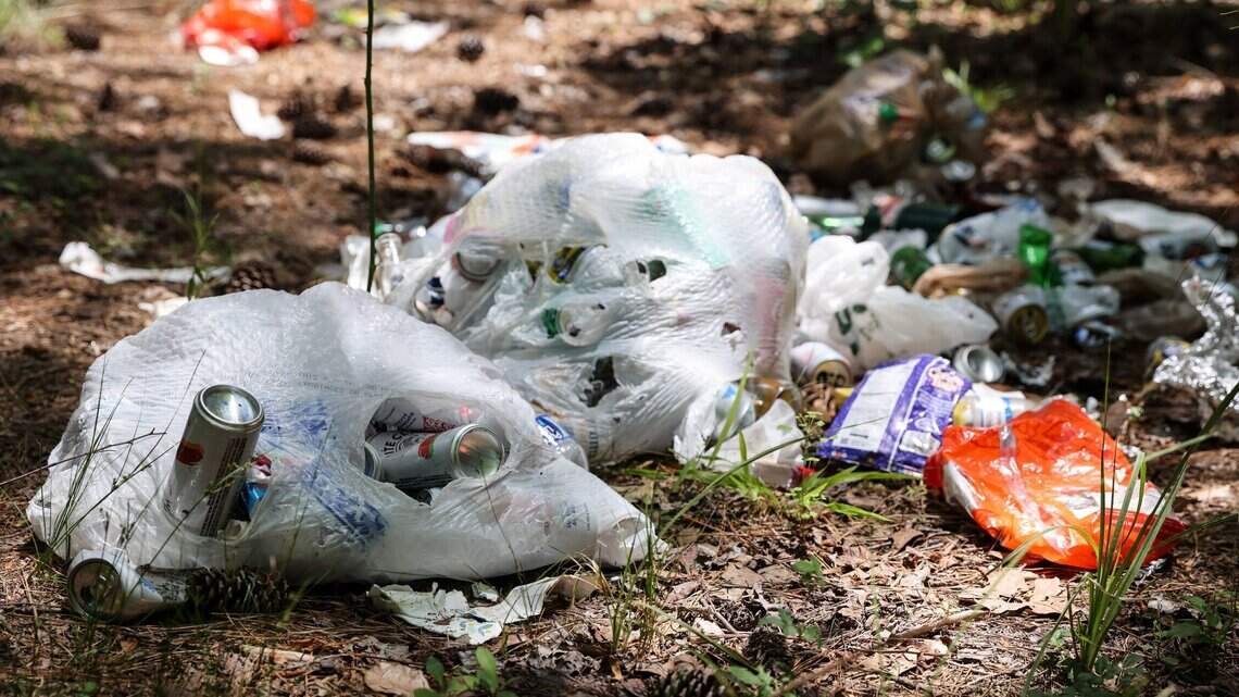 Following thousands of complaints, Lexington dropped curbside trash provider