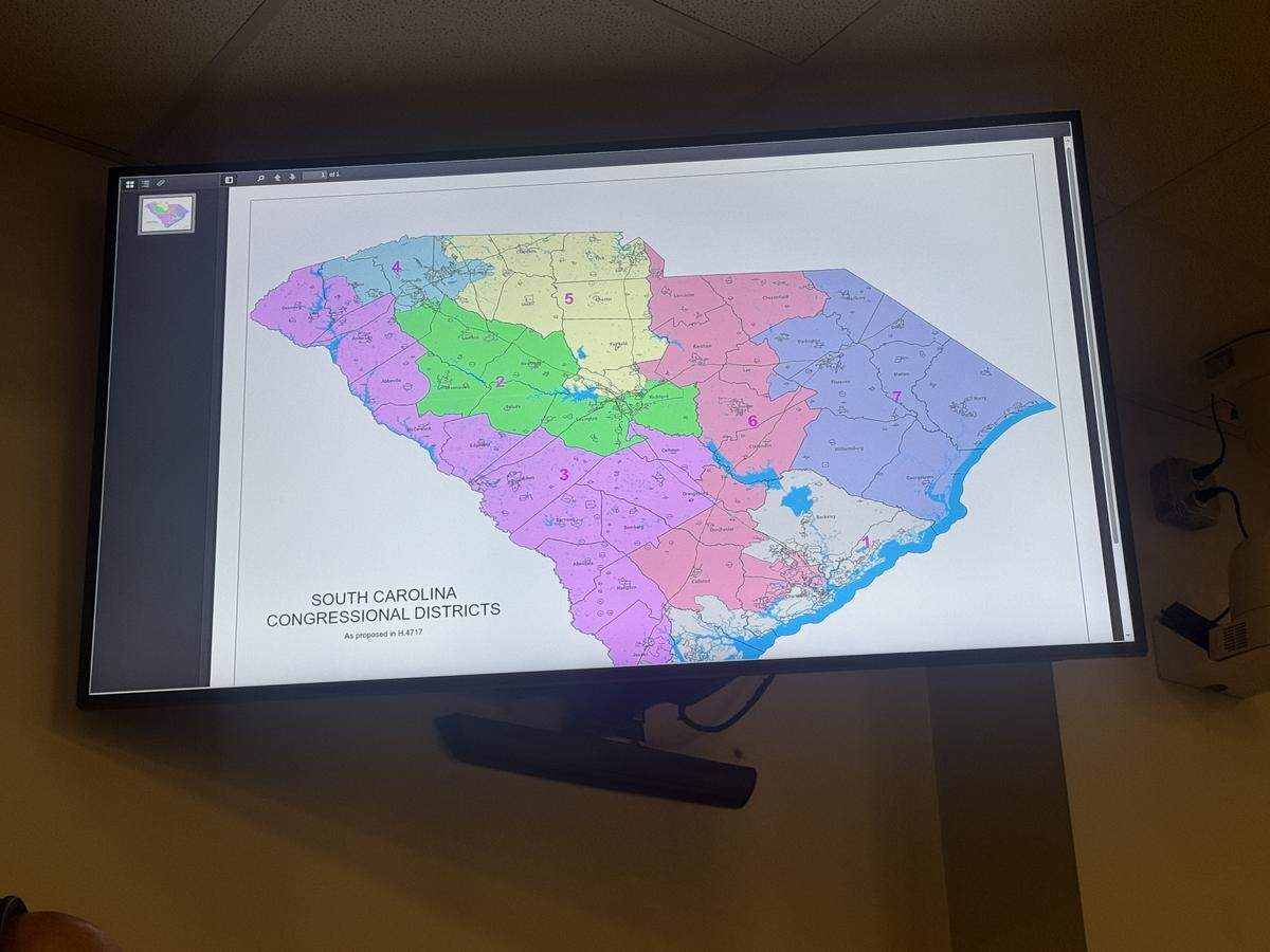 A map of a proposed South Carolina Congressional map proposed by state Rep. Jordan Pace, R-Berkeley. Pace wants the state to undergo middecade redistricting.