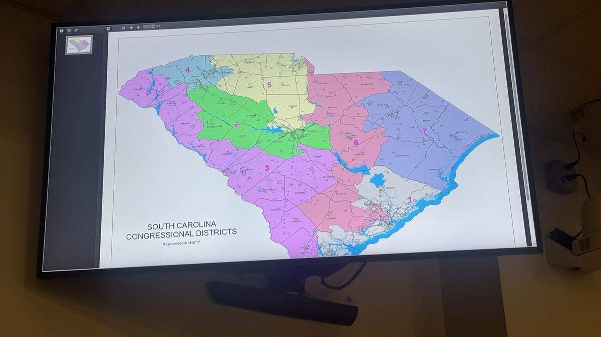 A map of a proposed South Carolina Congressional map proposed by state Rep. Jordan Pace, R-Berkeley. Pace wants the state to undergo mid-decade redistricting.