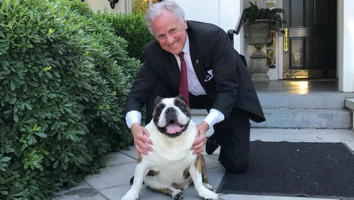 S.C. Gov. Henry McMaster with Winston, an English bulldog the governor and wife Peggy McMaster were fostering at the Governor’s Mansion.