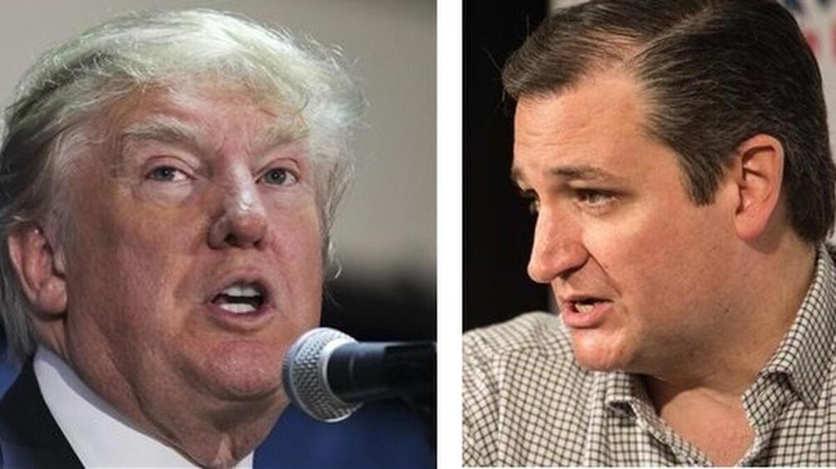Donald Trump or Ted Cruz