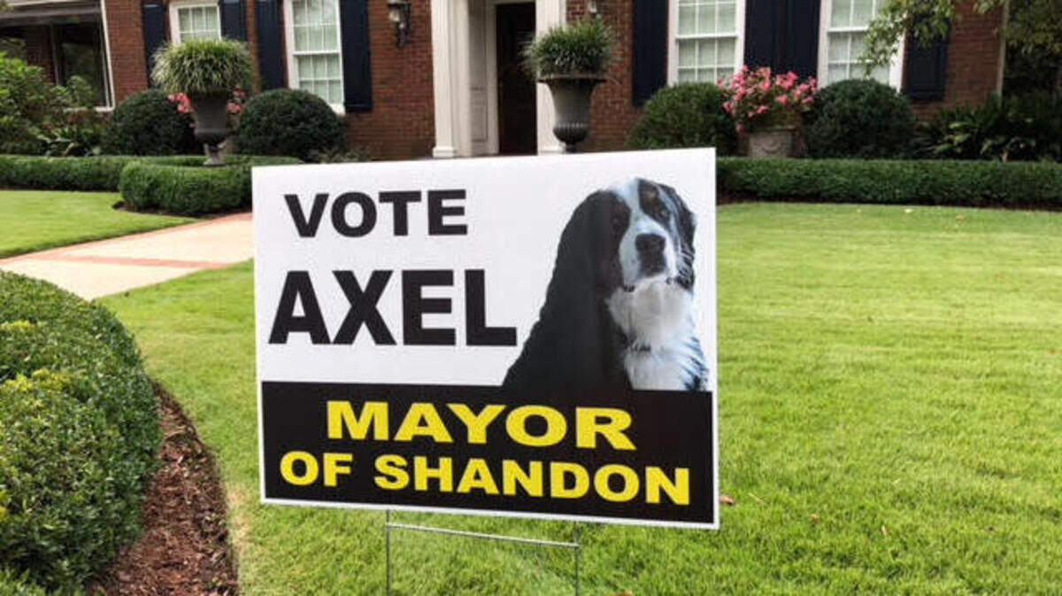 A sign for Axel the dog’s campaign for mayor of Columbia’s Shandon neighborhood.