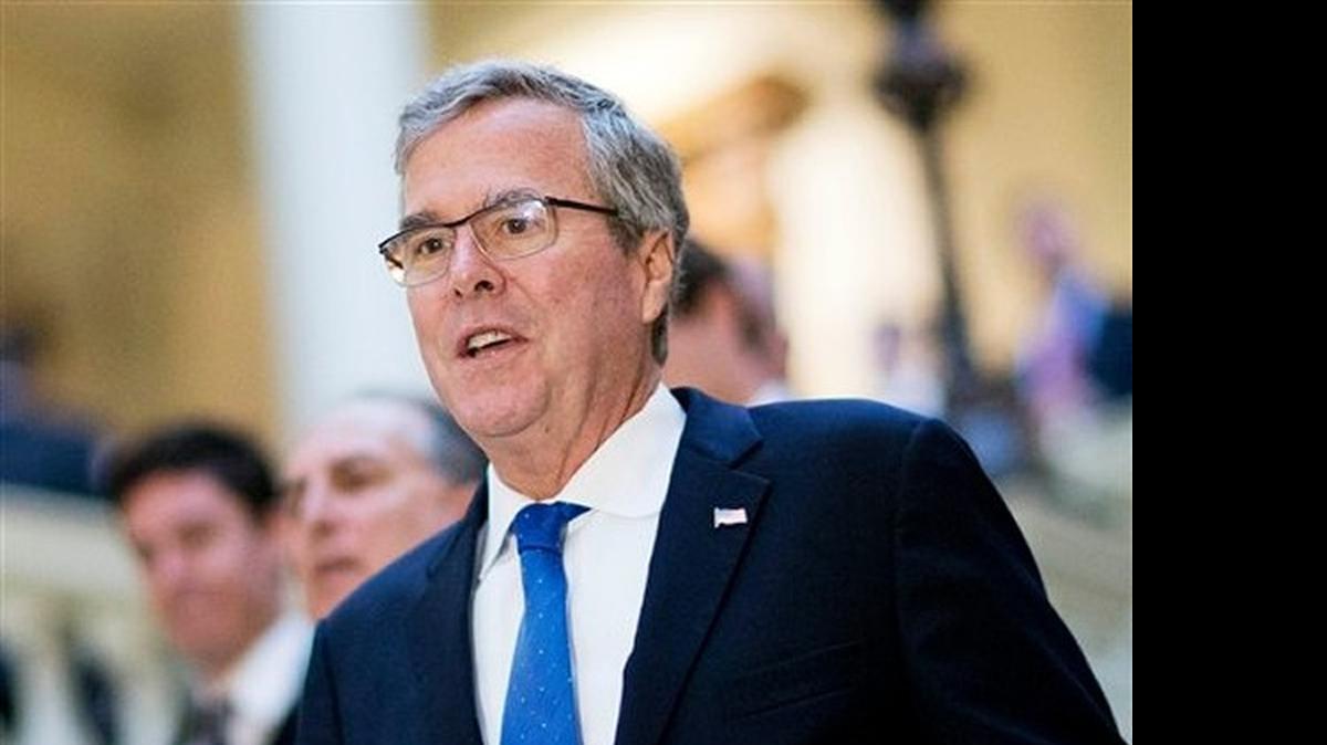 
Jeb Bush 
