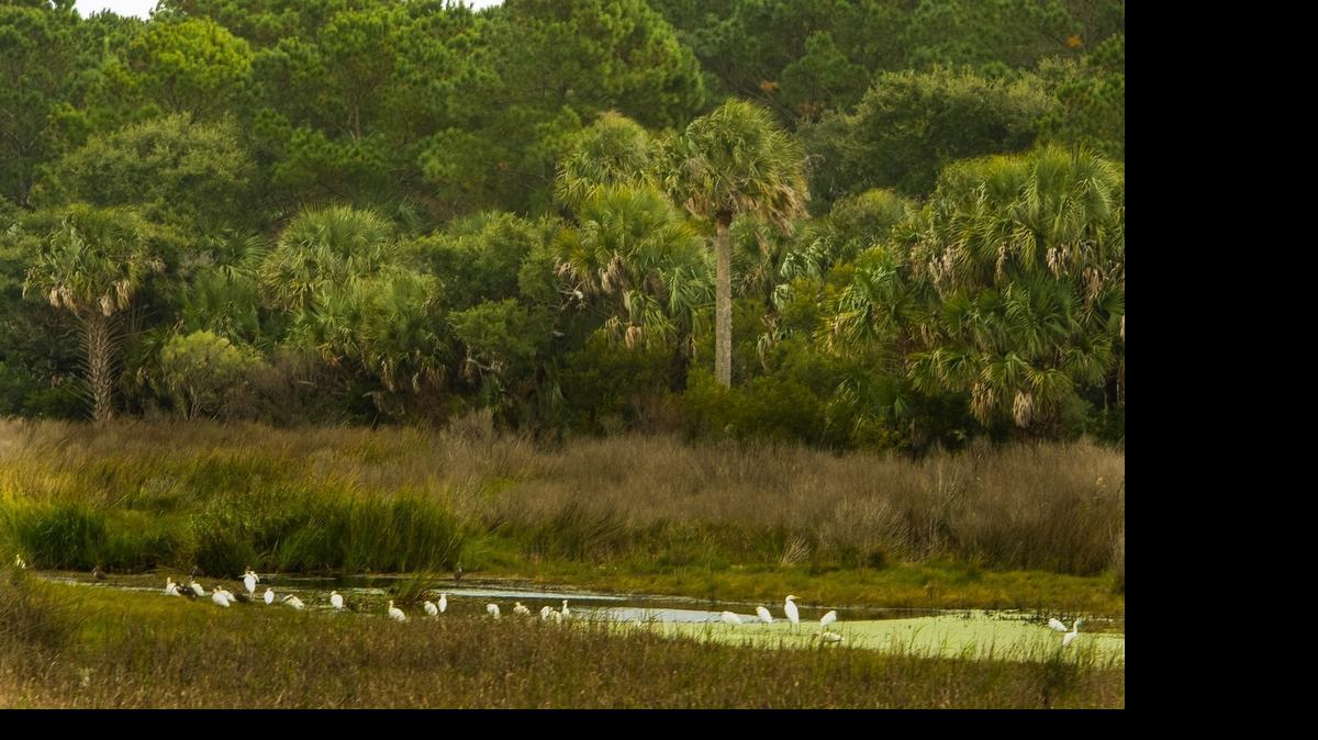 
In an open letter to candidates, six Democrats and six Republicans urged discussions of a comprehensive energy policy. They also expressed concern about how rising sea levels and a changing climate could affect the coast.
