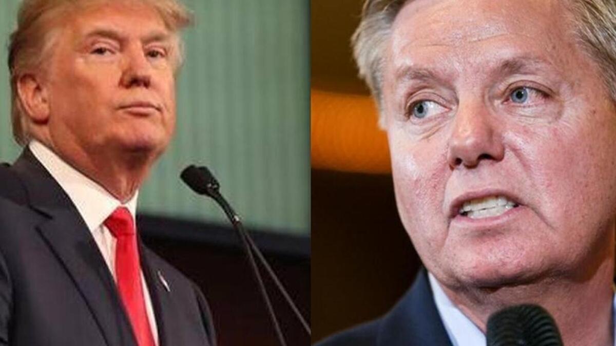 
Donald Trump (on left) and Lindsey Graham
