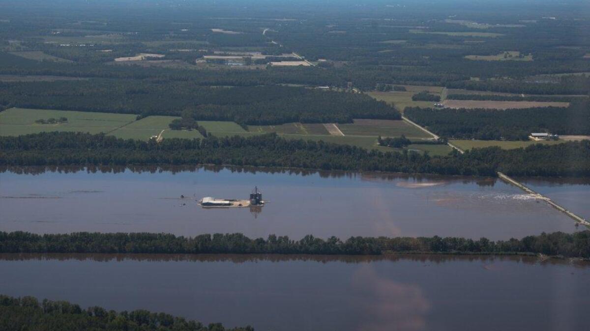 Farmland in Horry County and the surrounding area is still covered in water following caused by heavy rains in October.