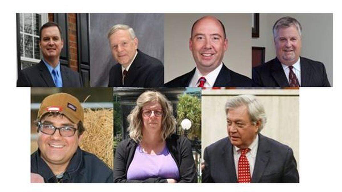 Candidates in SC Senate District 20
Top, from left: Benjamin Dunn, John Holler, Christian Stegmaier, Bill Turbeville
Bottom, from left: Kyle Lacio, Dayna Alane Smith, Dick Harpootlian