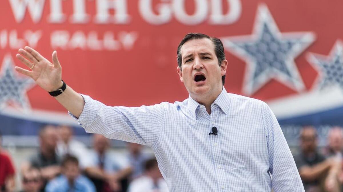 FILE PHOTO: U.S. Senator and presidential hopeful Ted Cruz speaks to thousands of Christian supporters at the We Stand with God, Pro-Family Rally at the South Carolina state house.
