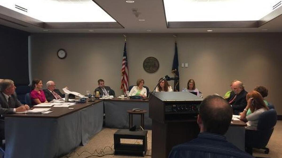 The state Department of Disabilities and Special Needs Commission in session on July 20, 2017.