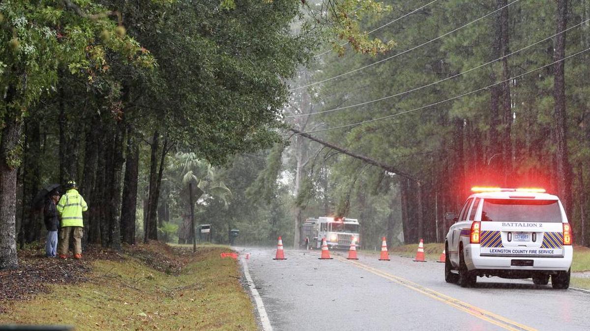 A downed tree blocks Hebron Drive in West Columbia.