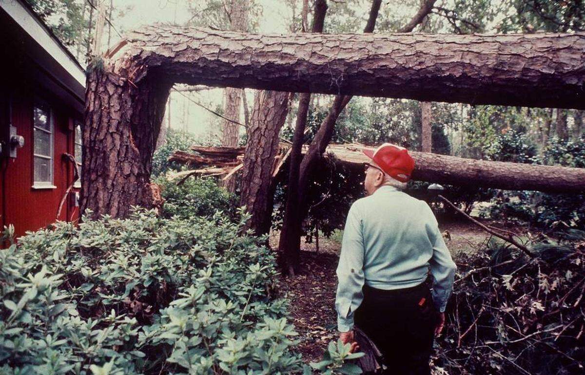 T.H. Watson of Columbia, surveyed damage to his Lake Marion property. Watson’s lot, near Stumphole Landing in Calhoun County, lost more than 75 trees.