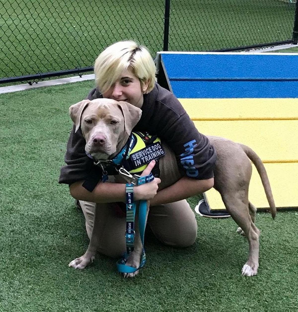 Training requires more than just simple “sit” and “stay” commands. Twinkie must be trained to cater to Naomi’s exact needs as a PTSD sufferer.