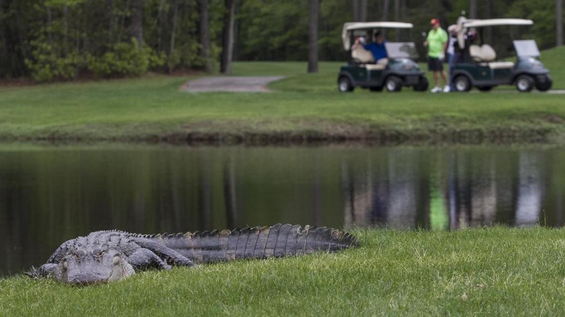 The Witch Golf Links could be redeveloped with proposed zoning change. Here are the plans