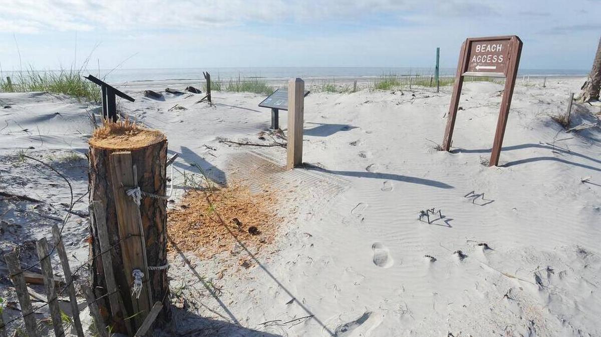 A beach access point at the campground at Hunting Island State Park is shown on May 19. Though the rest of the park has reopend, Hurricane Matthew did a lot of damage to the campground, which will remain closed until repairs are complete.