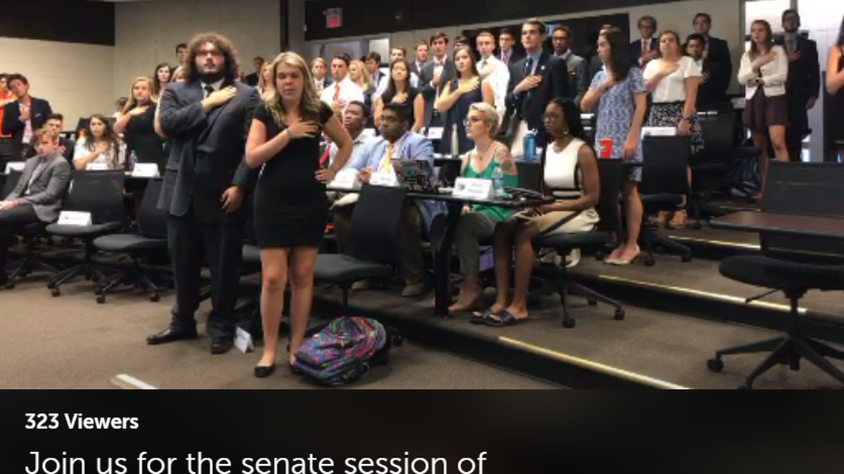 Screenshot of video stream of the meeting.