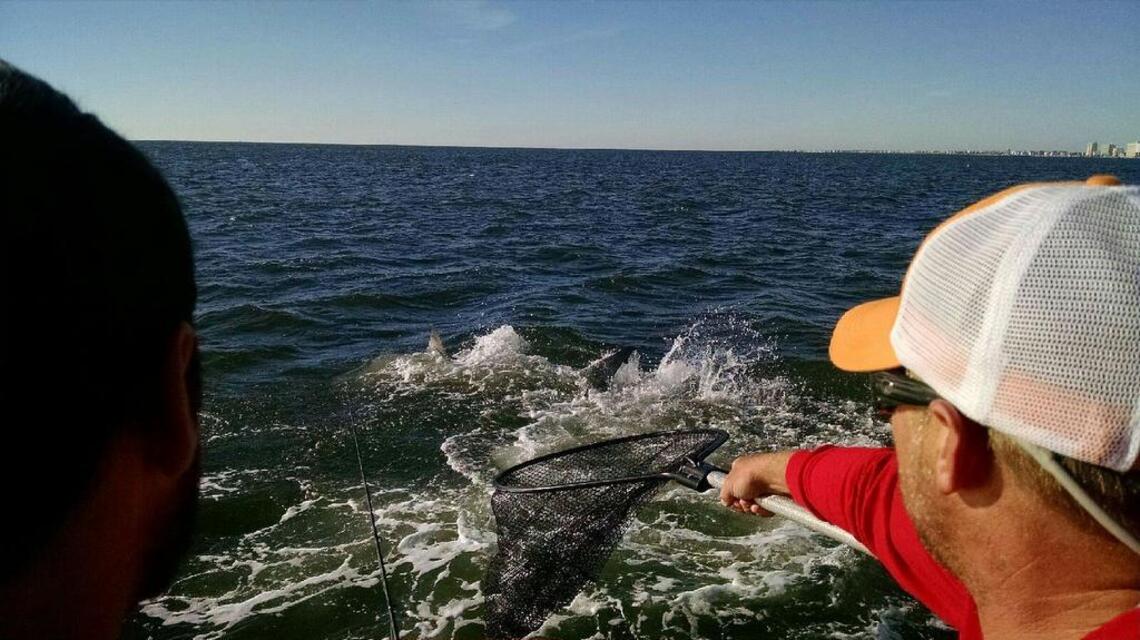 Outdoors: Crew’s shot at hauling in large redfish negated by great white shark