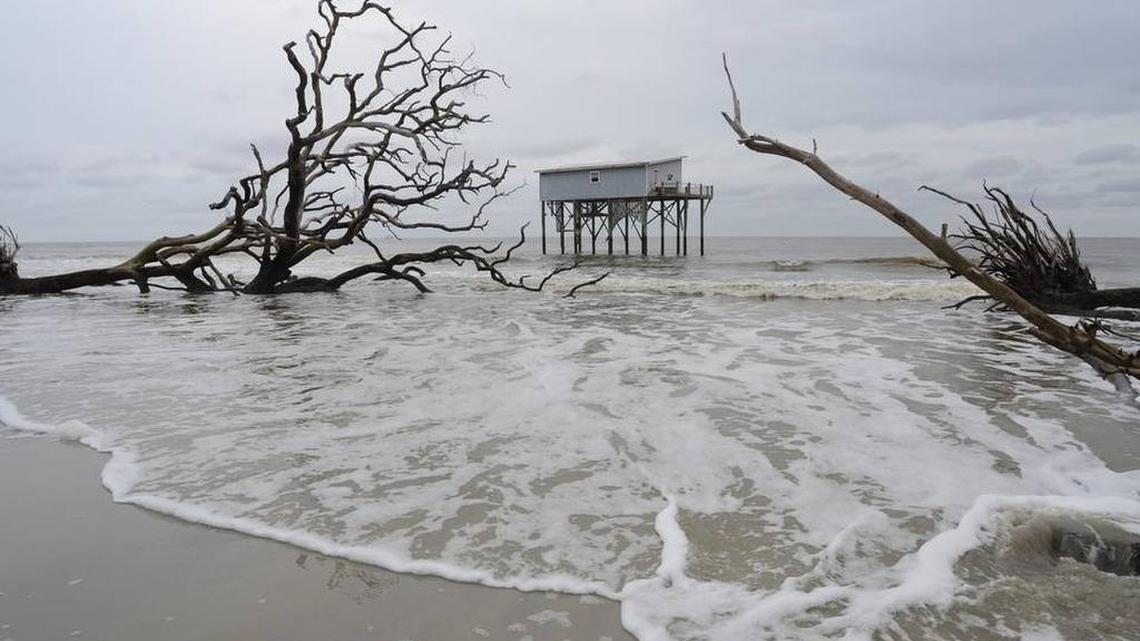 Beach erosion along Cabin Road in Hunting Island State Park is shown last fall.