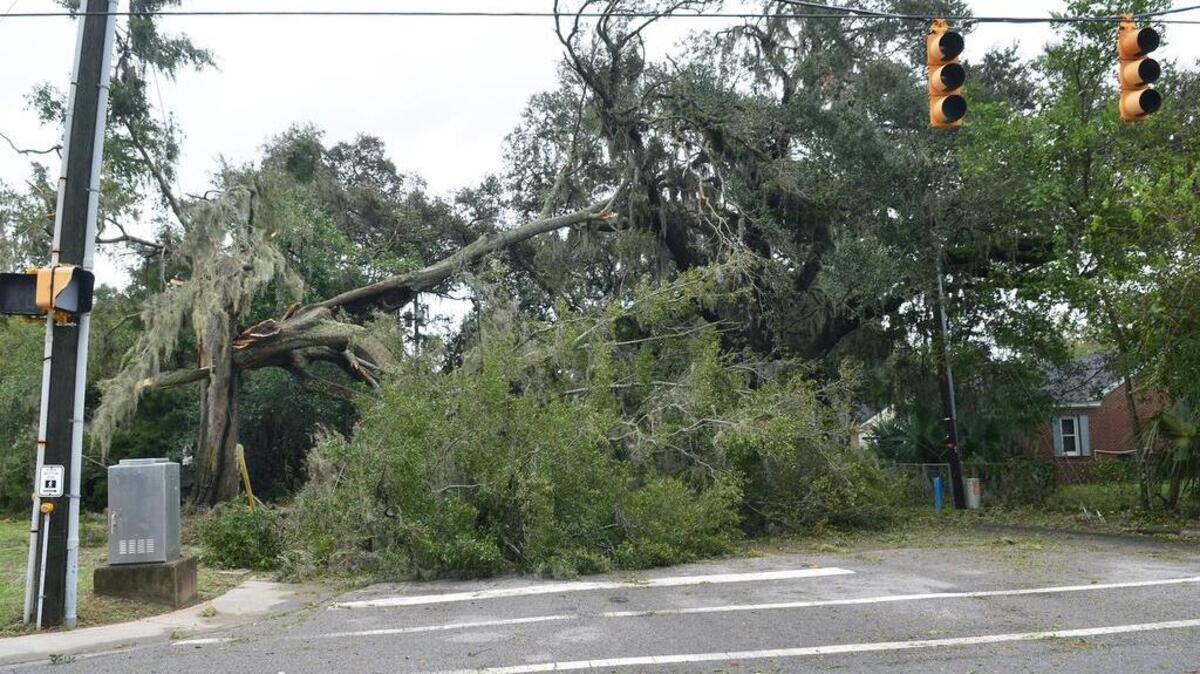 A tree, one of many felled by Hurricane Matthew on Saturday, blocks North Street at Ribaut Road in Beaufort.