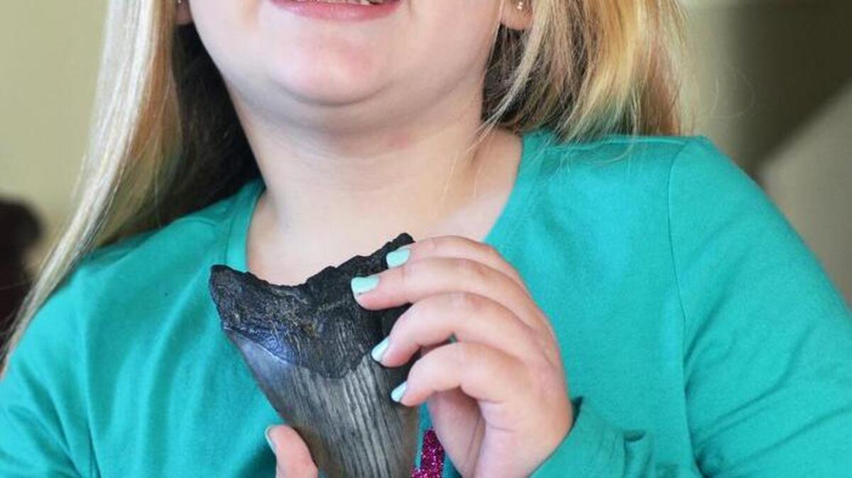 Bluffton's Aviana Stevens, 8, is photographed on Nov. 23, 2016, with the fossilized megalodon tooth she recently discovered while searching for shark teeth along the May River with her father, Jason Stevens. A megalodon was a giant white shark that went extinct some 2 million years ago.