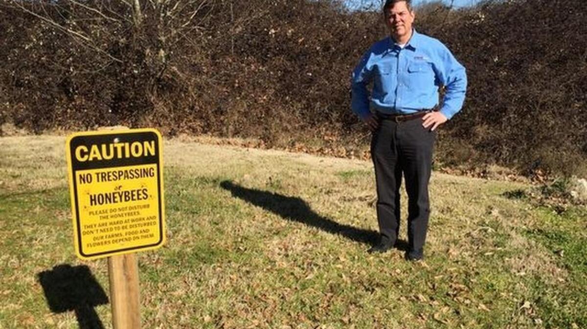 Mauldin dentist Julian Thomas stands outside his office where his three beehives once stood. The hives were stolen over the weekend.