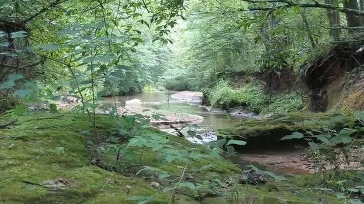 Environmental groups say the Dominion pipeline will cause permanent impact to the Upstate landscape while posing damage and risk as it crosses water 73 times along its route.