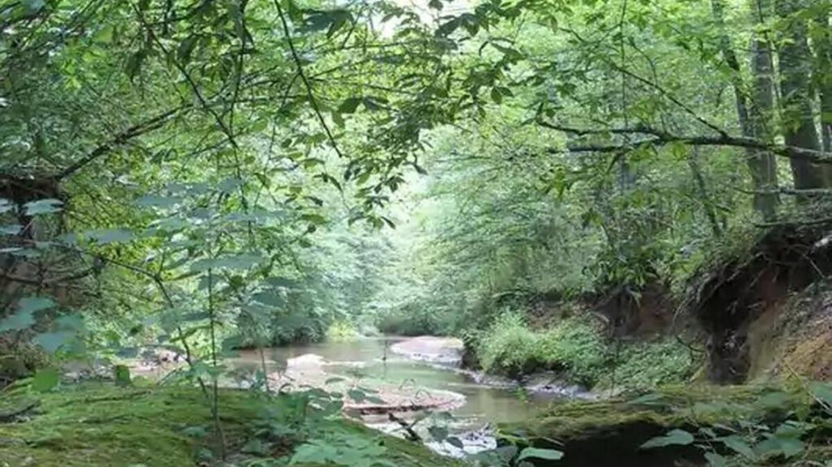 Environmental groups say the Dominion pipeline will cause permanent impact to the Upstate landscape while posing damage and risk as it crosses water 73 times along its route.