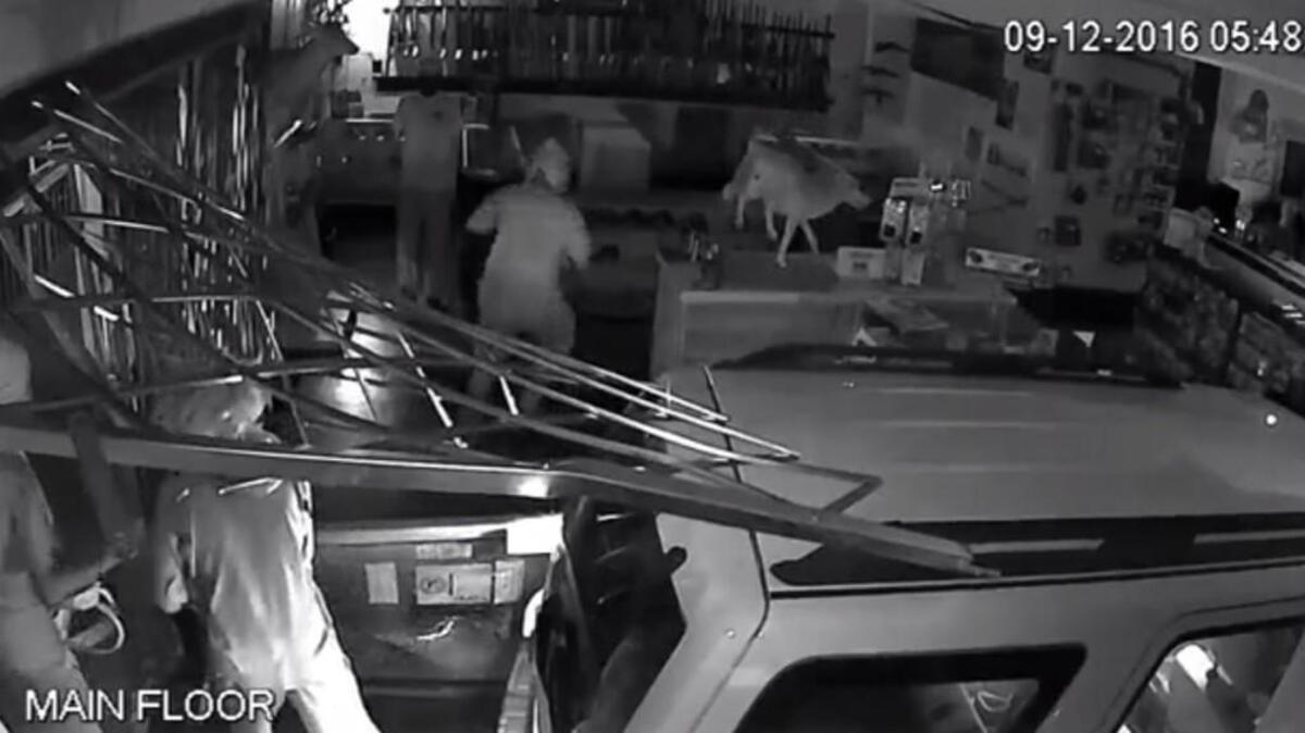 Police have arrested three juveniles in connection with the Monday burglary of the JJ Aim Right Gunshop in Fort Mill. The teenagers are accused of driving a stolen vehicle through the front doors of the store, breaking a display case and stealing guns.