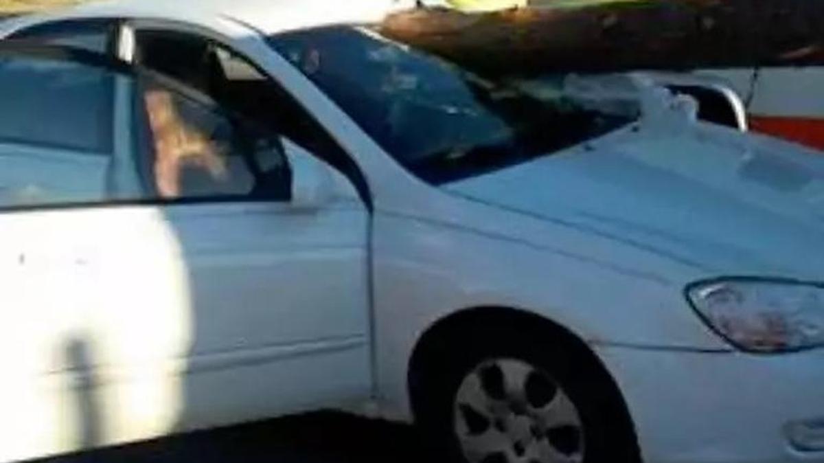 A log from a logging truck ended up through the windshield of a car in Anderson.